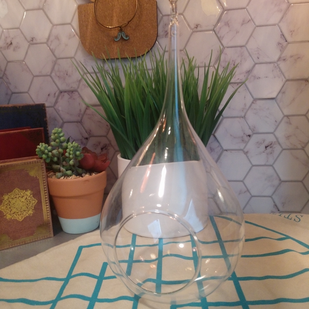 Air plant globe